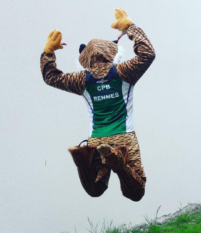 La mascotte Tig'run
