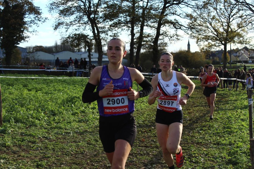 CROSS AMANDINE