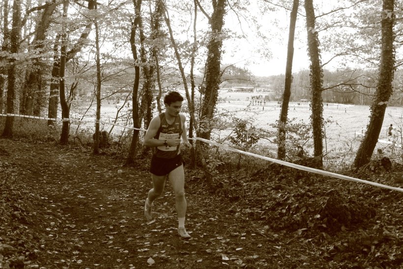 Cross des Picaous (St Marc le Blanc)